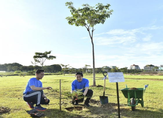 Almost 80,000 Trees Planted Since BNCCP’s Launch