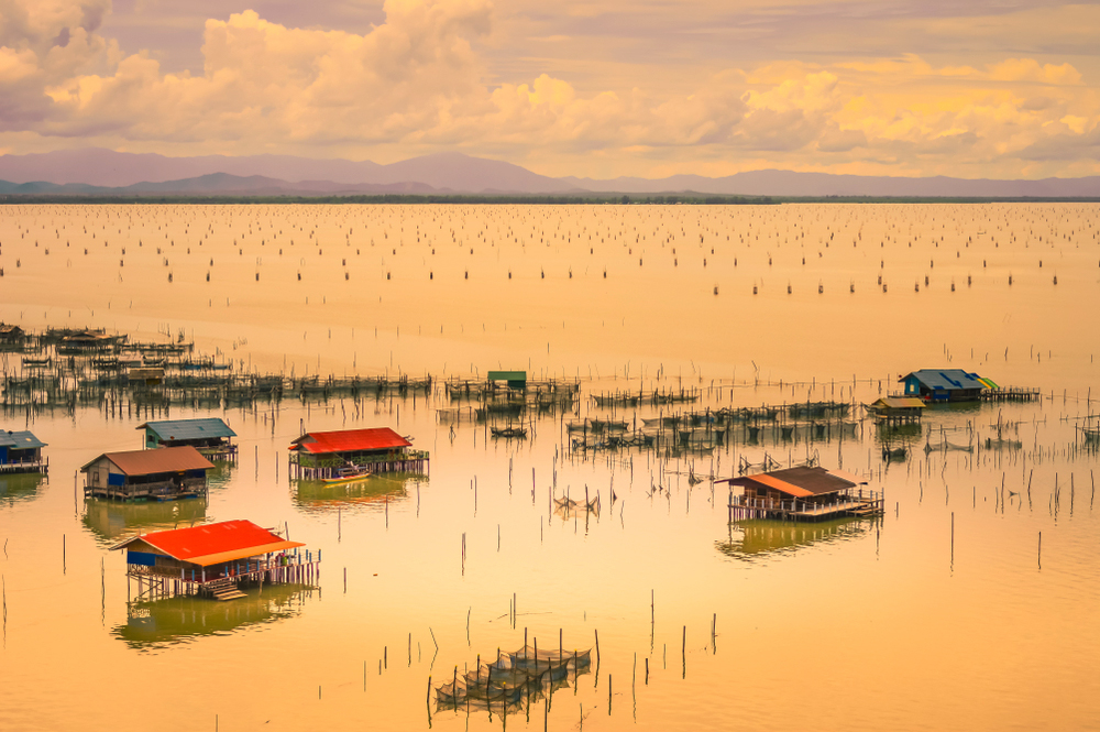 Songkhla Lake of Thailand Nominated for UNESCO Heritage List