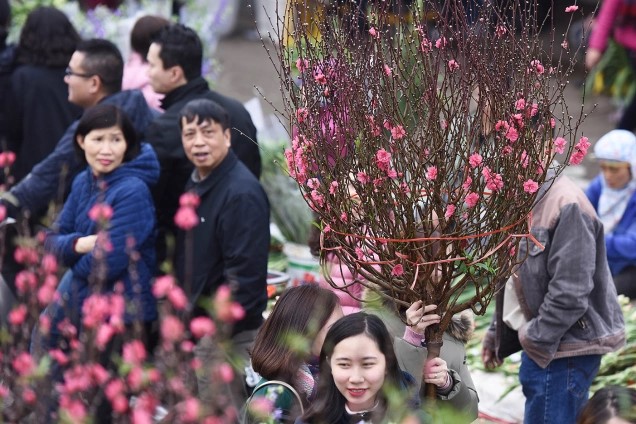 Vietnam Approves Nine-Day Tet Holiday for 2026, from February 14 to 22