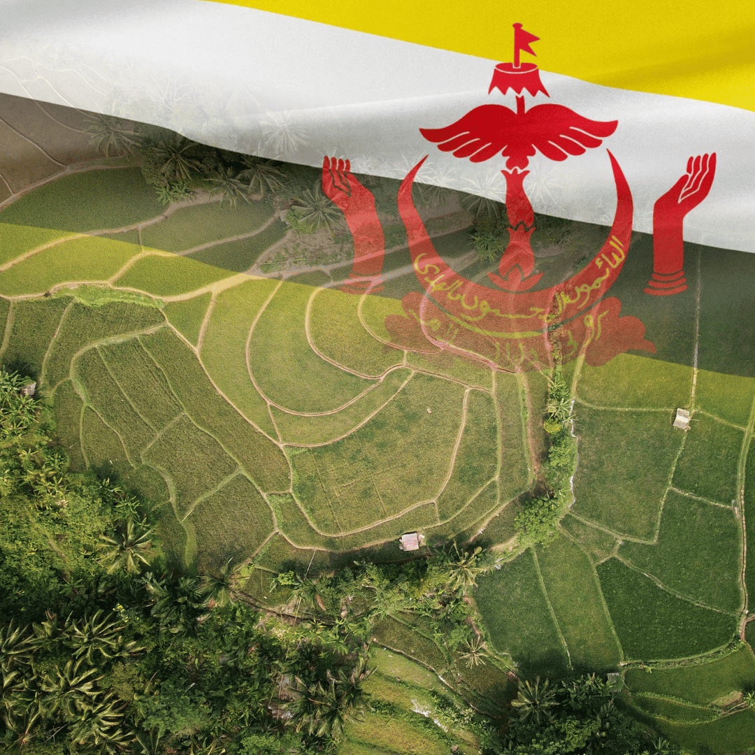Brunei Expands Land Ownership Access Under New Legal Reform