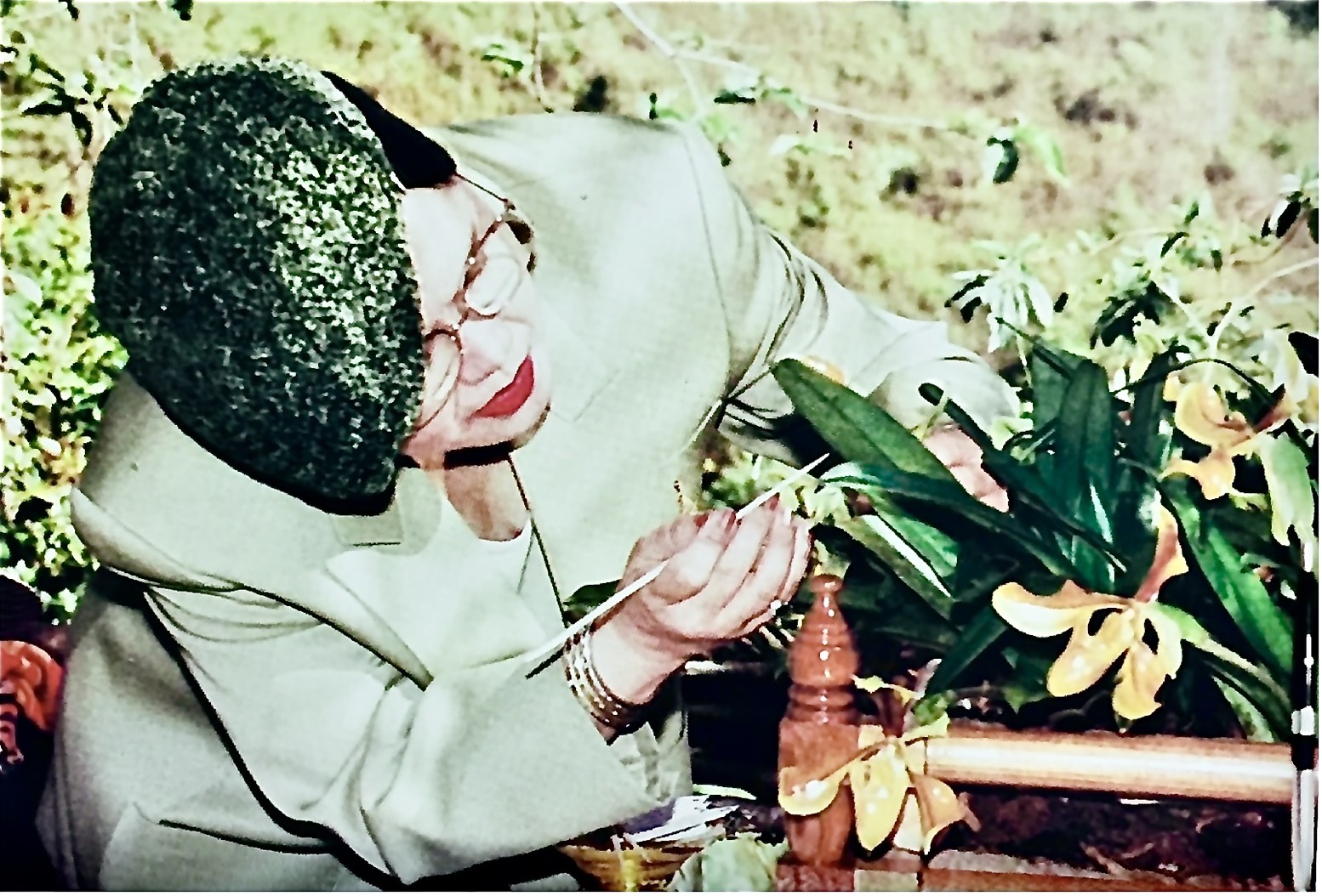 Her Majesty Queen Sirikit: Savior of Native Thai Orchids