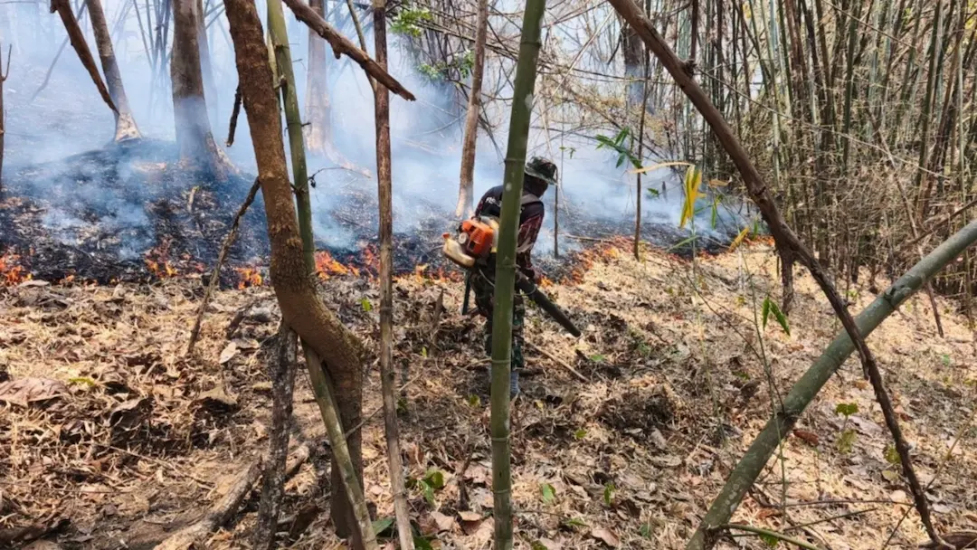 Thai Government Boosts Wildfire Response Using Satellite Technology