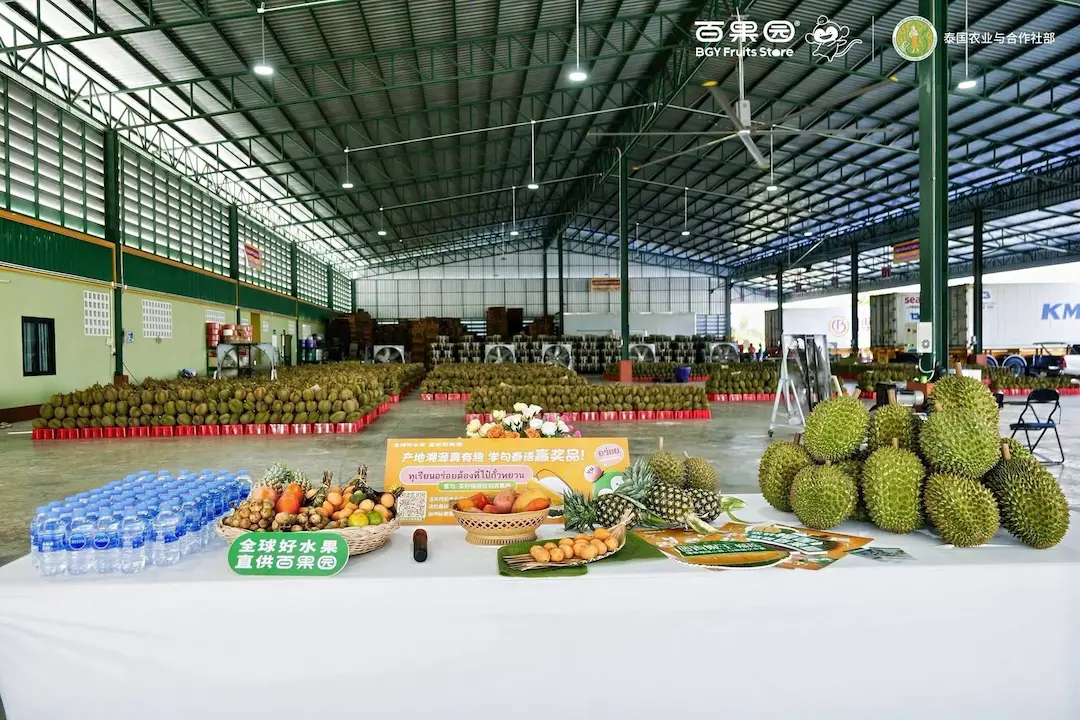 Thailand Boosts Durian Exports to China With Trade Visit