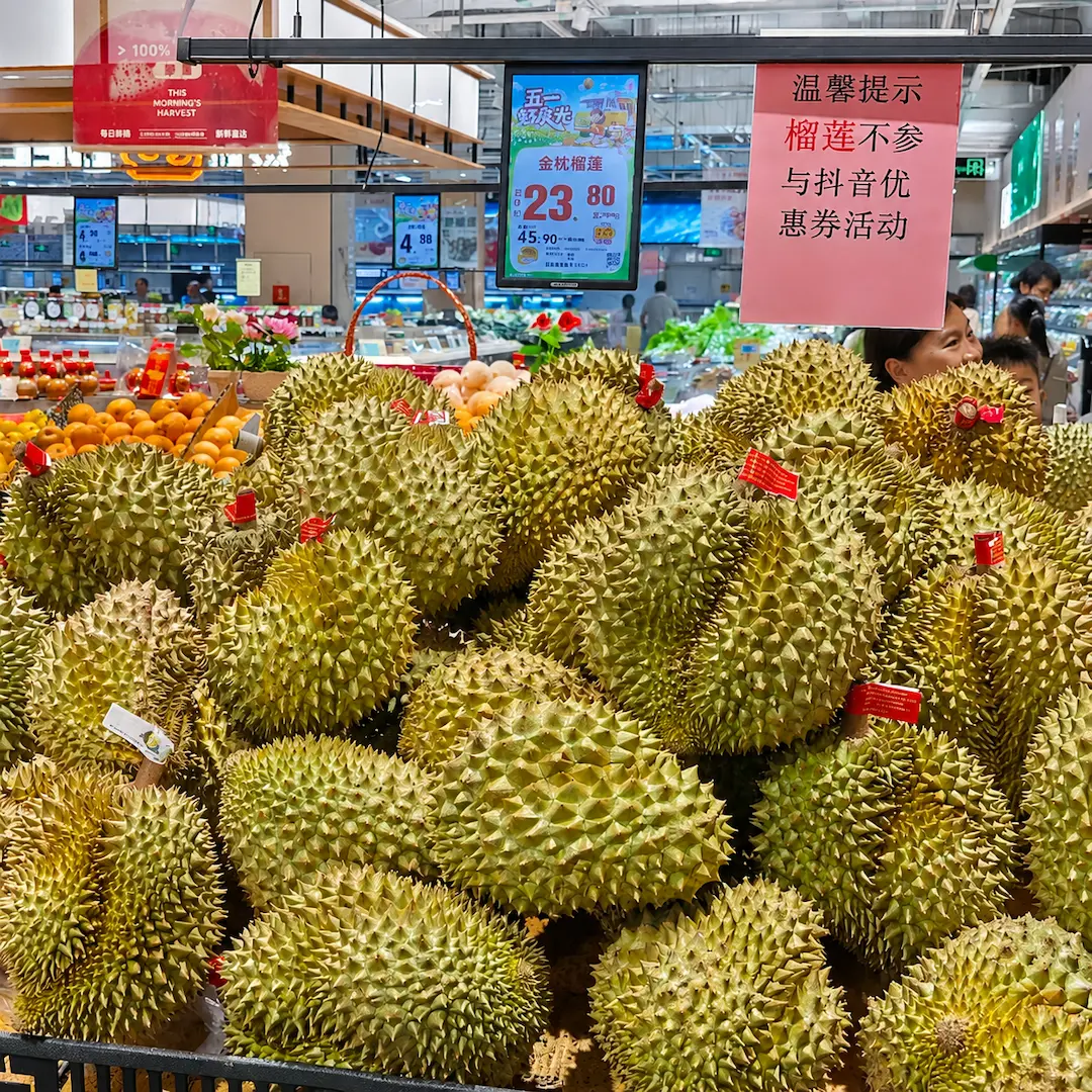Thai Durian Gains Popularity in China During Harvest Season 