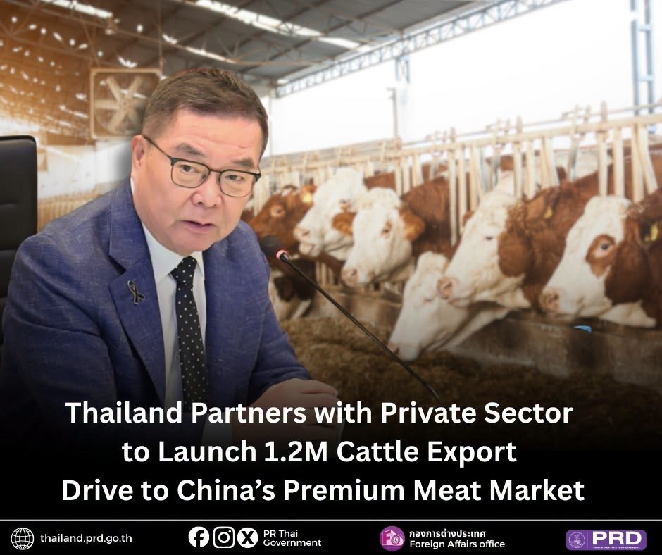 Thailand Partners with Private Sector to Launch 1.2M Cattle Export Drive to China&rsquo;s Premium Meat Market
