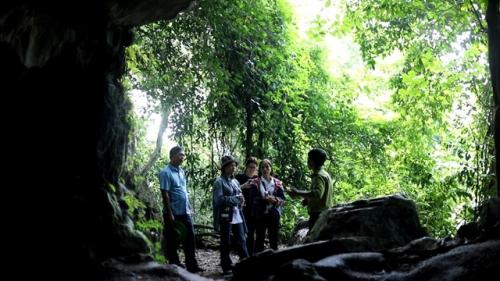 A Cuc Phuong National Park ranger introduces to visitors about Ancient Cave - a residence and burial place of prehistoric people 7,500 years ago. VNS Photo Doan Tung.